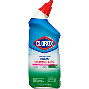 Clorox Fresh Toilet Bowl Cleaner with Bleach