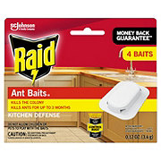 Raid Ant Baits III