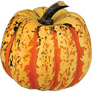 Fresh Carnival Squash