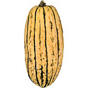 Fresh Delicata Squash