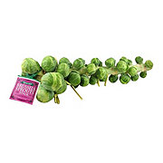 Fresh Brussels Sprouts Stalk