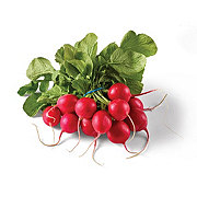 Fresh Cilantro