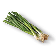 Fresh Organic Green Onions