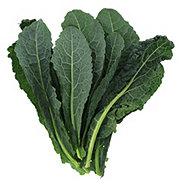 Fresh Organic Lacinato Kale