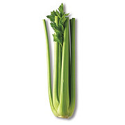 Fresh Celery Stalk