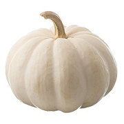 H-E-B Texas Roots White Pumpkin