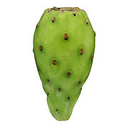 Fresh Prickly Pear Cactus Fruit