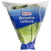 Fresh Sleeved Romaine Lettuce