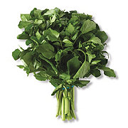 Fresh Cilantro