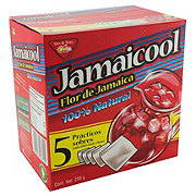 Jamaicool Hibiscus Gallon Tea Bag