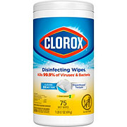 Clorox Free & Clear Compostable Cleaning Wipes, All Purpose Wipes, Light  Lemon Scent, 75 Count 