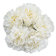 BLOOMS by H-E-B 5-Stem White Carnations