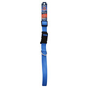 Coastal Pet Products Lagoon Blue 1" X 26" Adjustable Nylon Collar