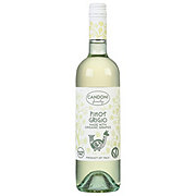 Candoni Pinot Grigio White Wine