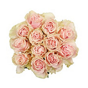 BLOOMS by H-E-B Dozen Pink Roses