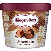 Haagen-Dazs Chocolate Ice Cream