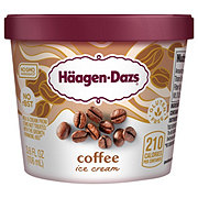 Haagen-Dazs Strawberry Ice Cream