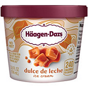 Haagen-Dazs Strawberry Ice Cream