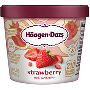 Haagen-Dazs Strawberry Ice Cream