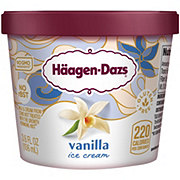 Haagen-Dazs Strawberry Ice Cream