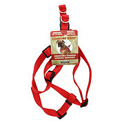 4Paws Empire  Dog collars, leashes, harnesses, accessories and essentials