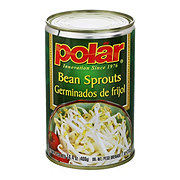 Polar Bean Sprouts