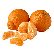 Fresh Blood Orange - Shop Citrus at H-E-B