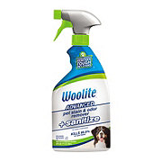 Woolite Instaclean Oxy Pet Stain Remover with Brush - Shop Carpet &  Upholstery Cleaners at H-E-B