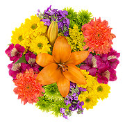 BLOOMS by H-E-B Brillante Flower Bouquet