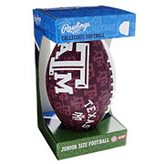 Rawlings Junior Size Dallas Cowboys Football - Shop Balls at H-E-B