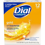 Dial Complete Antibacterial Deodorant Bar Soap, Gold