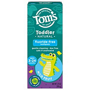 Tom's of Maine Toddler Fluoride - Free Training Toothpaste