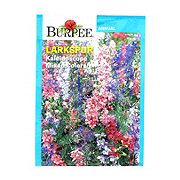 Burpee Larkspur, Kaleidoscope Mixed Color Flower Seeds