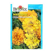 Burpee Marigold, Climax Mixed Color Flower Seeds