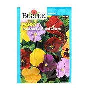 Burpee Pansy Trimardeau Mixed Colors Seeds