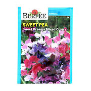 Burpee Sweet Pea, Sweet Dreams Mixed Color Flower Seeds