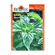 Burpee Basil, Mammoth Vegetable Seeds