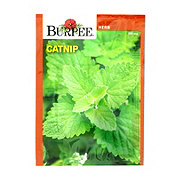 Burpee Catnip Vegetable Seeds