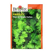 Burpee Parsley Plain or Single Italian Herb Seeds