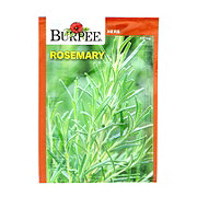 Burpee Rosemary Herb Seeds