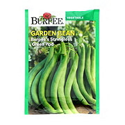 Burpee Stringless Green Pod Garden Bush Snap Bean Vegetable Seeds