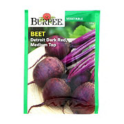 Burpee Beet Detroit Dark Red, Medium Top Seeds