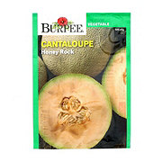 Burpee Cantaloupe Honey Rock Seeds