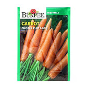 Burpee Carrot Nantes Half Long Vegetable Seeds