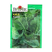 Burpee Premier Kale Vegetable Seeds