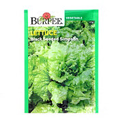 Burpee Black Seeded Simpson Lettuce Seeds