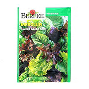 Burpee Mesclun Sweet Salad Mix Seeds