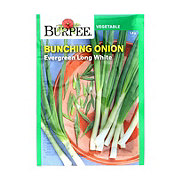 Burpee Bunching Onion Evergreen Long White Seeds