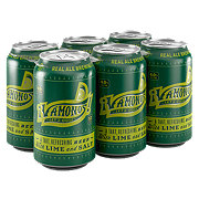 Real Ale Vamonos Lime Gose Beer 12 oz Cans