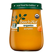 Beech-Nut Organics Stage 1 Baby Food - Pumpkin